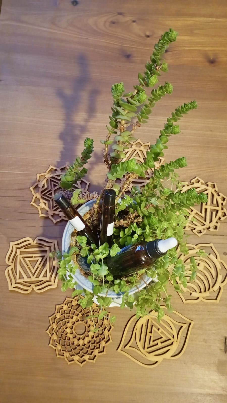 Terapia con Flores de Bach